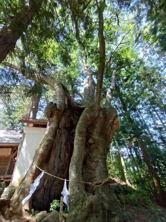 黒沼神社(福島県)
