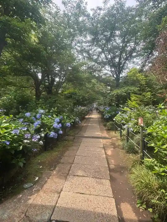本土寺(千葉県)