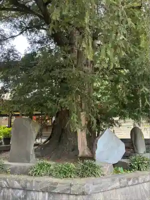 瀬戸神社(神奈川県)