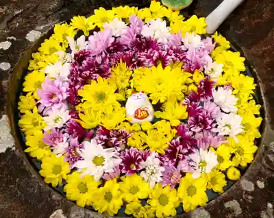 真言宗　善通寺派　薬王寺(香川県)