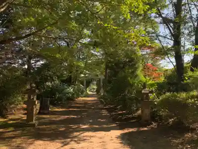 西坂神社(千葉県)