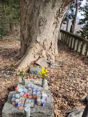 函館八幡宮(北海道)