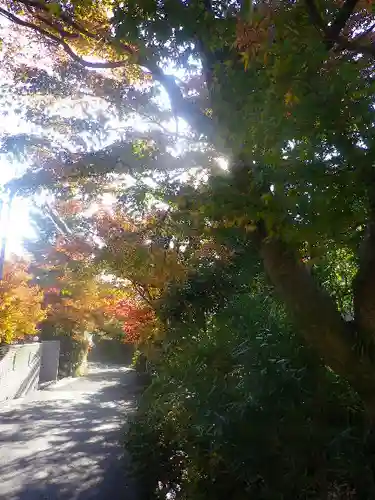 海蔵寺の庭園