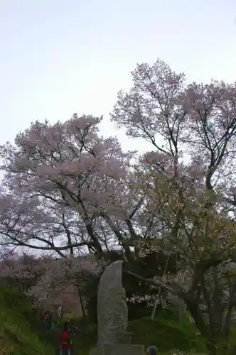 仏隆寺の自然