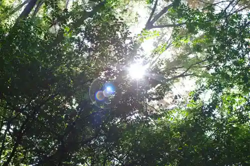 廣瀬大社(奈良県)