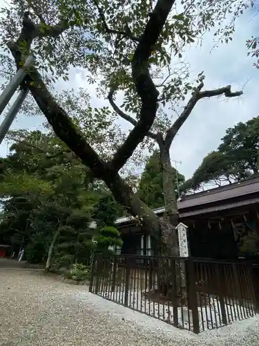 息栖神社の庭園