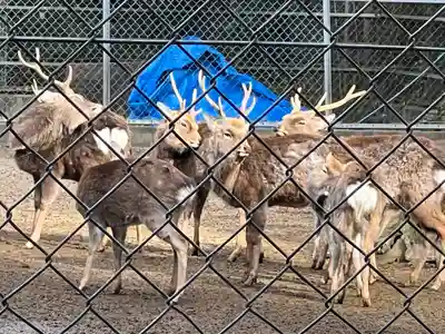 鹿島神宮(茨城県)