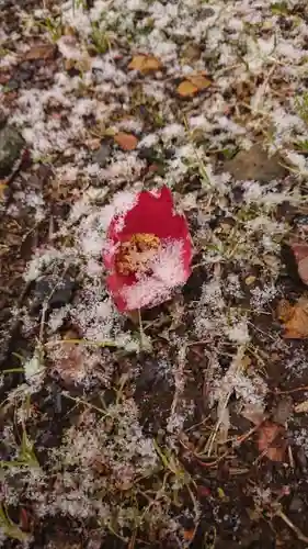 三崎稲荷神社の自然