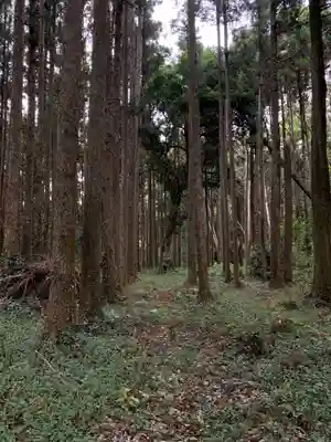 稲荷神社(千葉県)