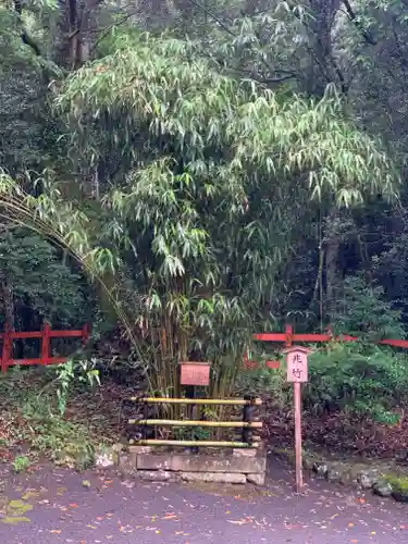 宇佐神宮の庭園