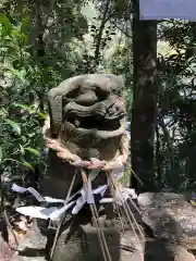 坂本八幡神社の狛犬