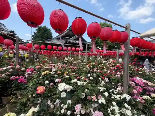 おふさ観音（観音寺）(奈良県)