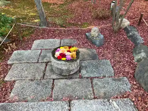 勝林寺(京都府)