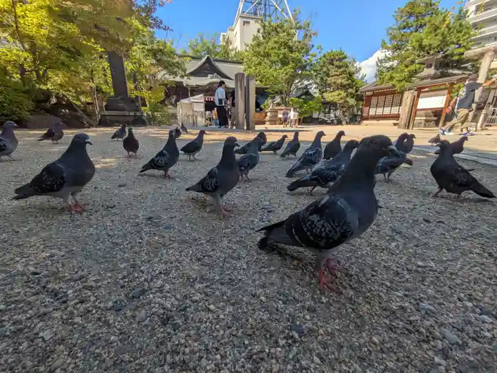 四柱神社(長野県)