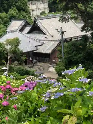 補陀寺の御朱印