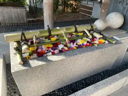 東郷神社の{uncategorized: "未分類", other: "その他", undefined: "問題あり", building: "その他建物", grave: "お墓", sacred_gate: "鳥居", guardian: "狛犬", statue: "像", buddha: "仏像", history: "歴史", nature: "自然", garden: "庭園", animal: "動物", pagoda: "塔", temizu: "手水舎", mountain_gate: "山門・神門", sanctuary: "本殿・本堂", subordinate: "末社・摂社", art: "芸術", scenery: "景色", jizo: "地蔵", ema: "絵馬", goshuin: "御朱印", omikuji: "おみくじ", items: "授与品その他", amulet: "お守り", goshuincho: "御朱印帳", eats: "食事", festival: "お祭り", votive_dance: "神楽", shichigosan: "七五三参", wedding: "結婚式", experience: "体験その他", initially: "初詣", around: "周辺", anti_infection: "感染症対策"}