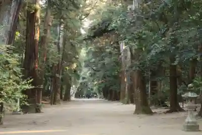 鹿島神宮(茨城県)