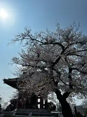 池上本門寺の{uncategorized: "未分類", other: "その他", undefined: "問題あり", building: "その他建物", grave: "お墓", sacred_gate: "鳥居", guardian: "狛犬", statue: "像", buddha: "仏像", history: "歴史", nature: "自然", garden: "庭園", animal: "動物", pagoda: "塔", temizu: "手水舎", mountain_gate: "山門・神門", sanctuary: "本殿・本堂", subordinate: "末社・摂社", art: "芸術", scenery: "景色", jizo: "地蔵", ema: "絵馬", goshuin: "御朱印", omikuji: "おみくじ", items: "授与品その他", amulet: "お守り", goshuincho: "御朱印帳", eats: "食事", festival: "お祭り", votive_dance: "神楽", shichigosan: "七五三参", wedding: "結婚式", experience: "体験その他", initially: "初詣", around: "周辺", anti_infection: "感染症対策"}