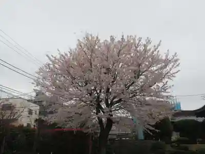 東光寺(神奈川県)