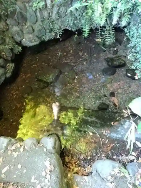 谷保天満宮の自然