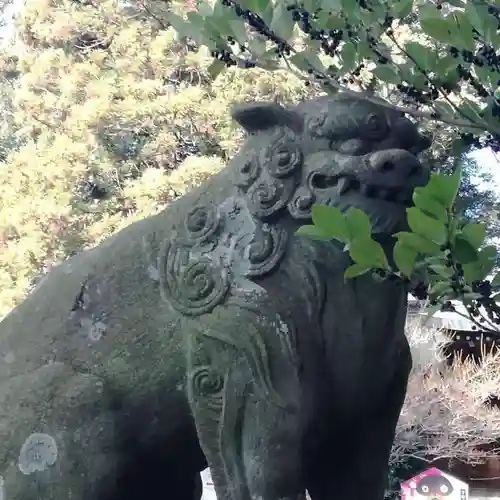 朝日森天満宮の狛犬