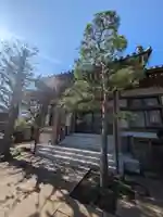 良感寺(東京都)