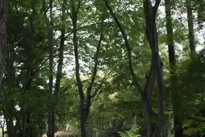 東福禅寺（東福寺）(京都府)