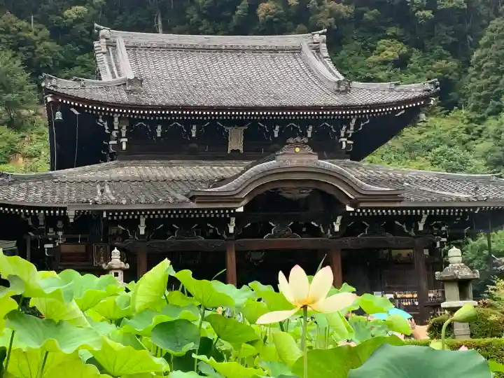 三室戸寺(京都府)