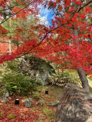 宝厳院(京都府)
