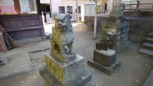 大久保青木神社の狛犬