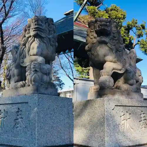 所澤神明社の狛犬