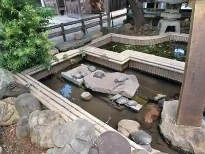 徳林寺(埼玉県)