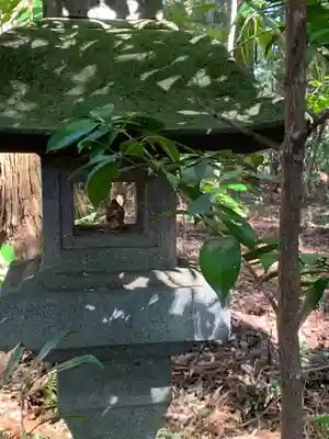 今市瀧尾神社のその他建物