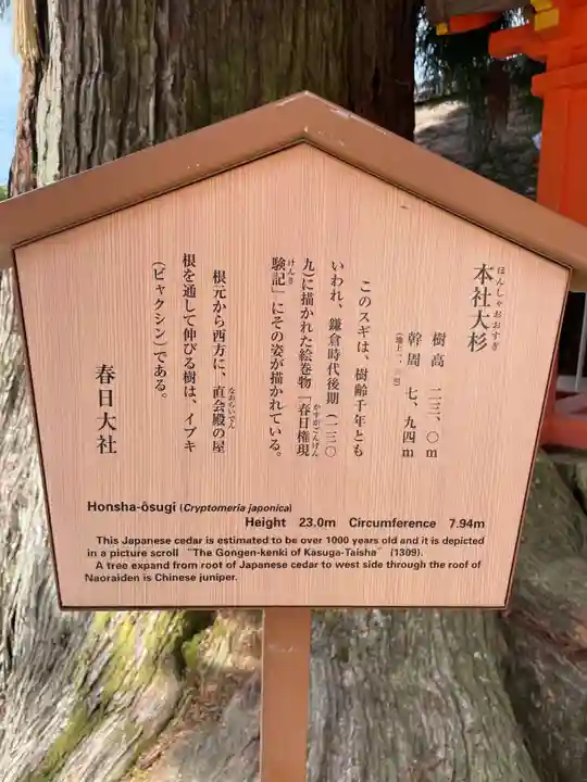 春日大社(奈良県)