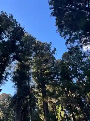 大宮温泉神社(栃木県)