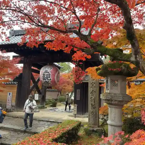 金剛輪寺(滋賀県)