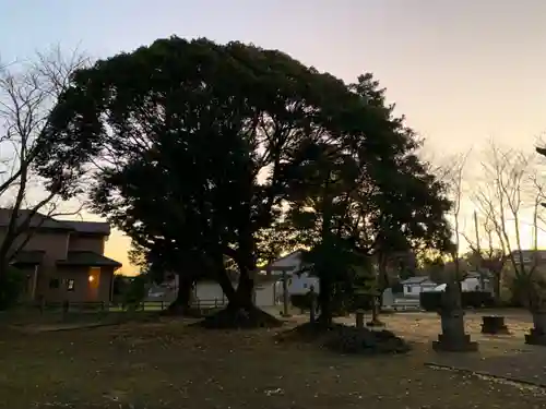 大宮神社の自然