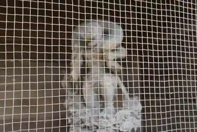 大祥寺(岩手県)