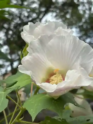 極楽寺（霊鷲山感應院極楽律寺）(神奈川県)