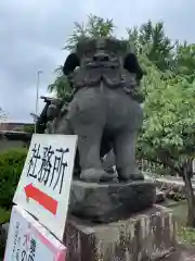 札幌護國神社の御朱印