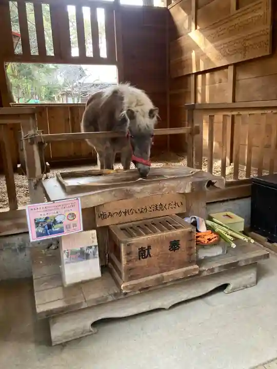 平塚八幡宮(神奈川県)