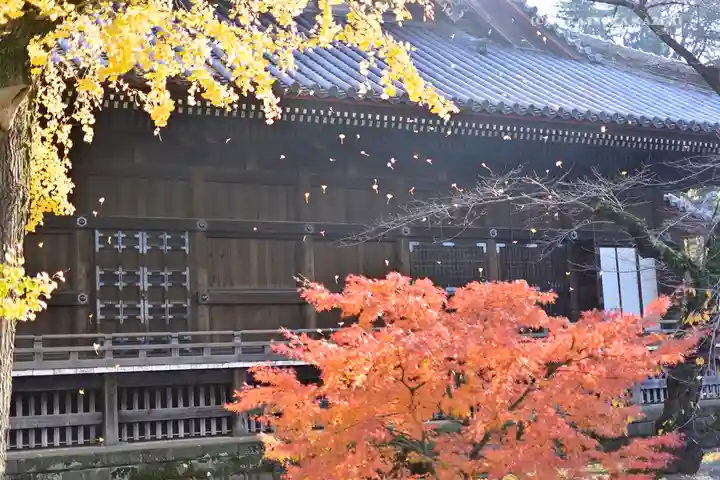 寛永寺(根本中堂)のその他建物