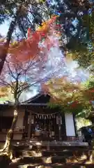 玉野御嶽神社の本殿