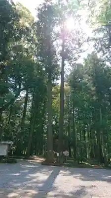 間々田八幡宮のその他建物