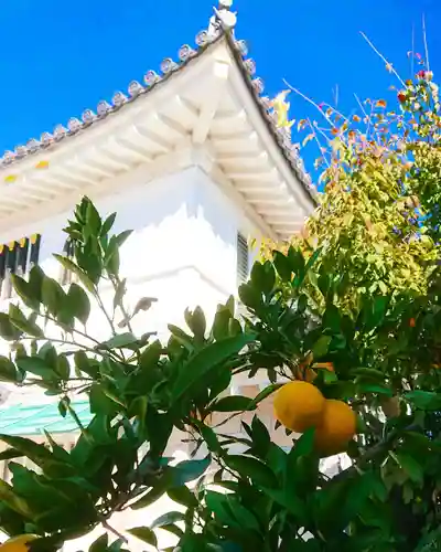 寿量山　速成寺の自然