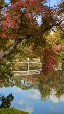 禅林寺(永観堂)(京都府)