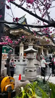 難波八阪神社の{uncategorized: "未分類", other: "その他", undefined: "問題あり", building: "その他建物", grave: "お墓", sacred_gate: "鳥居", guardian: "狛犬", statue: "像", buddha: "仏像", history: "歴史", nature: "自然", garden: "庭園", animal: "動物", pagoda: "塔", temizu: "手水舎", mountain_gate: "山門・神門", sanctuary: "本殿・本堂", subordinate: "末社・摂社", art: "芸術", scenery: "景色", jizo: "地蔵", ema: "絵馬", goshuin: "御朱印", omikuji: "おみくじ", items: "授与品その他", amulet: "お守り", goshuincho: "御朱印帳", eats: "食事", festival: "お祭り", votive_dance: "神楽", shichigosan: "七五三参", wedding: "結婚式", experience: "体験その他", initially: "初詣", around: "周辺", anti_infection: "感染症対策"}