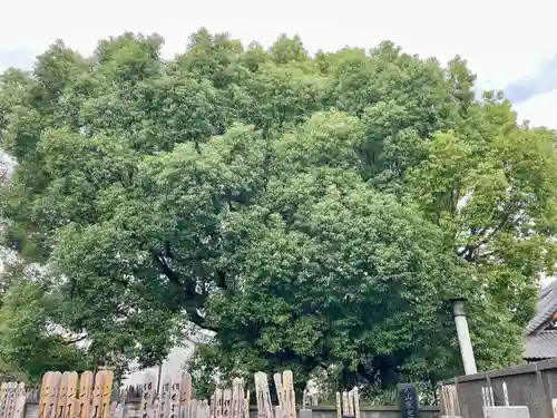 大泉寺(東京都)