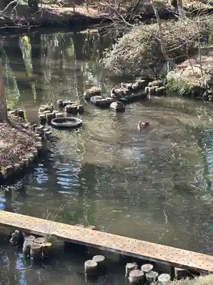 深大寺(東京都)