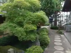 徳蔵寺の建物その他